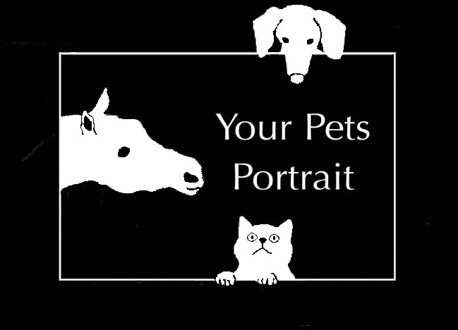 Your Pets Portrait